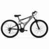 Mountain Bike, Gray